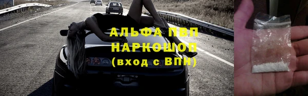 сатива Баксан