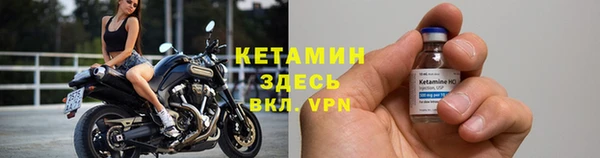 сатива Баксан