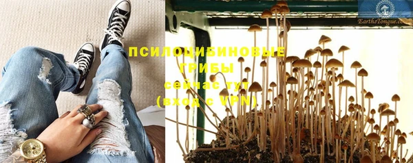 спиды Балахна