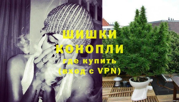 сатива Баксан