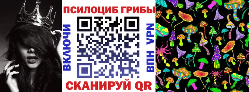 Псилоцибиновые грибы Psilocybine cubensis  дарнет шоп  Похвистнево 